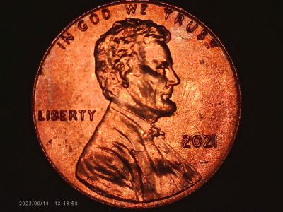 2021-P-Penny-Damage-Or-Cud-Type-Issue?